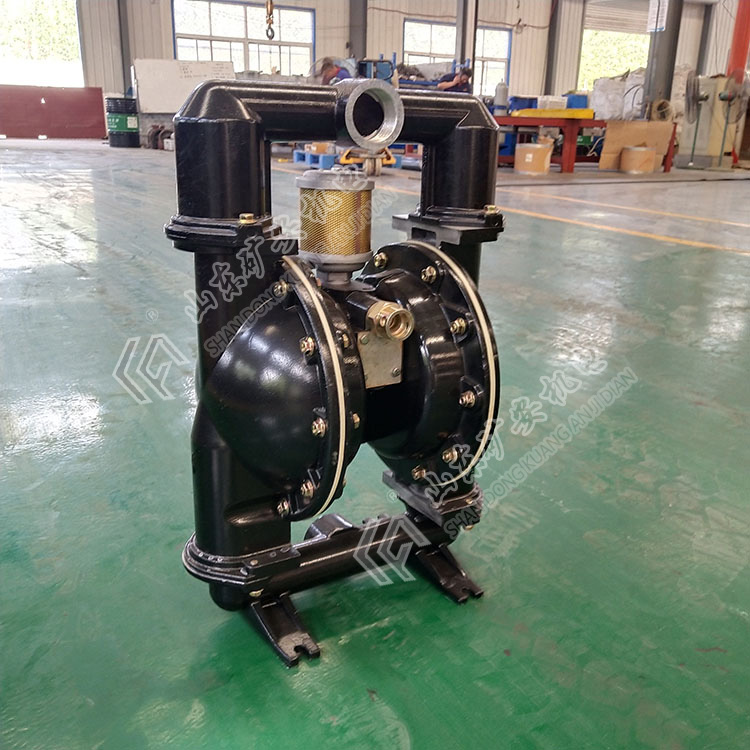 BQG350/0.2气动隔膜泵